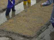 ���̏o���͂ǂ�H